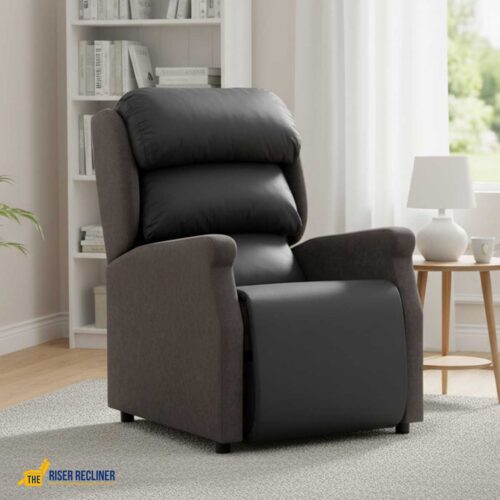 Adjusta Porter Chair
